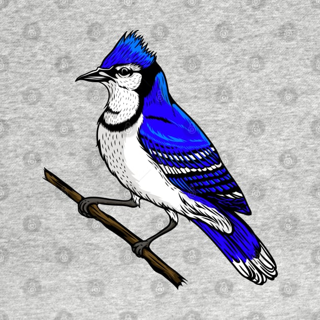 Blue Jay by Sticker Steve